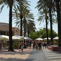 Miami Beach Realtor