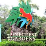 Pinecrest Gardens