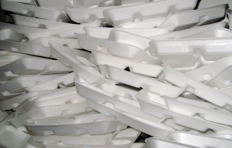 Coral Gables Styrofoam Ban