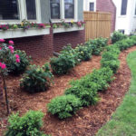 Best Time for Planting in Miami