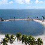 Miami Tax Refugees