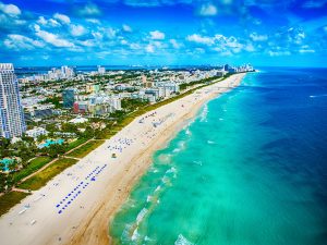 Reef Line Miami