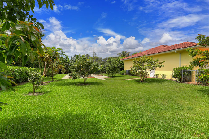 Top Miami Realtor