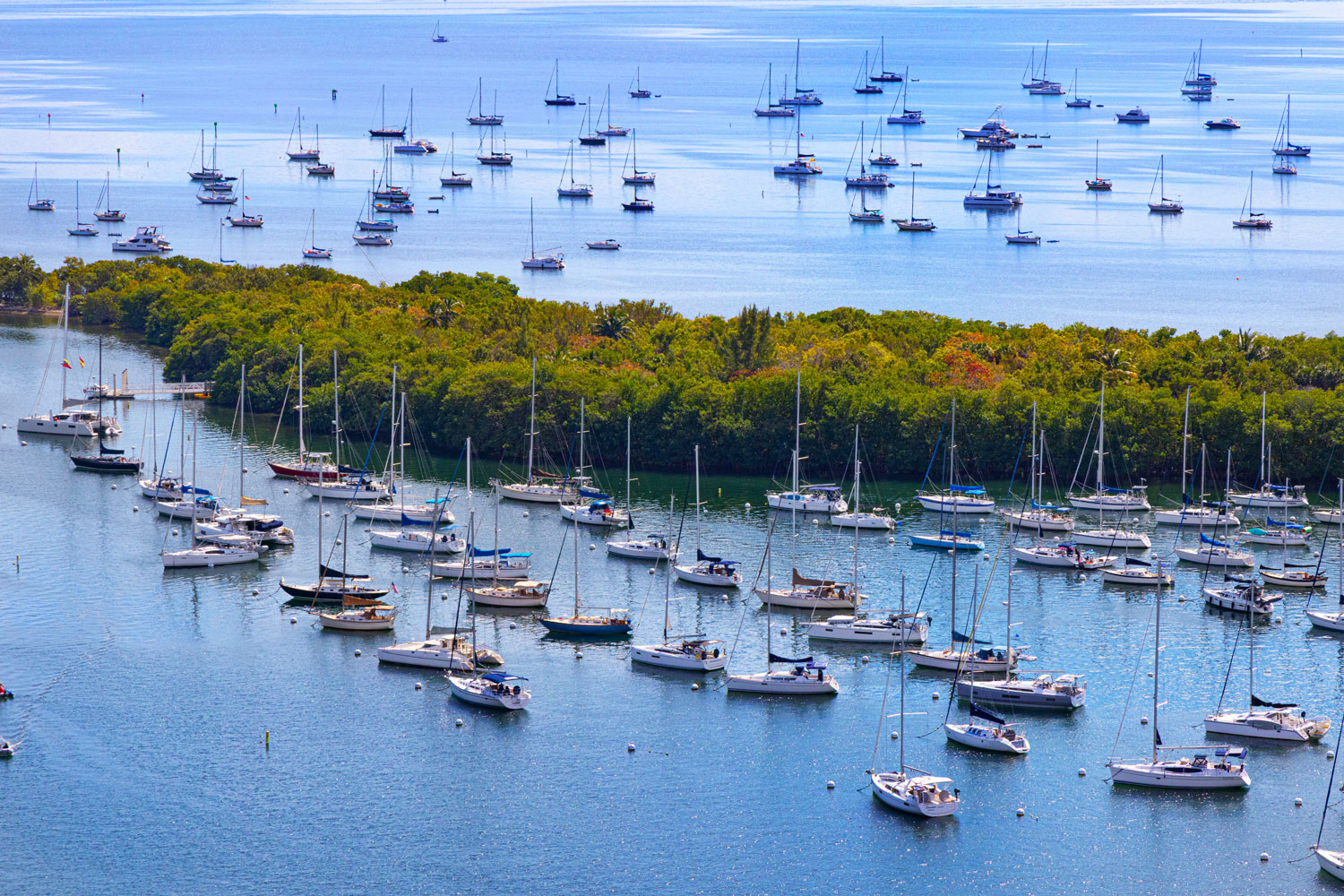 Coconut Grove Top Realtor Coconut Grove Luxury Condo Rental